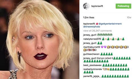 taylor swift snake comments